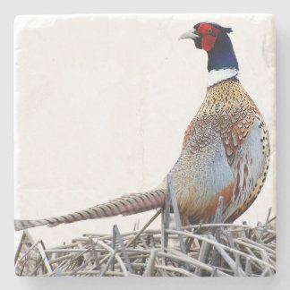 Ring-necked Pheasant Photo Stone Trivet Stenunderlägg