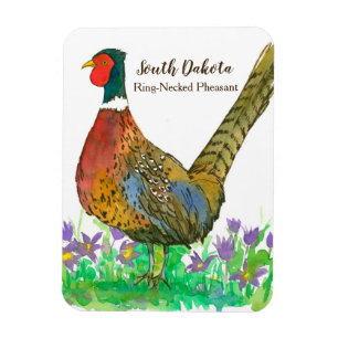 Ring Necked Pheasant Prairie Pasque Flower Anpassn Magnet