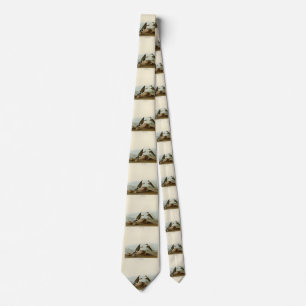 Ring Plover från Audubon's Birds of America Slips