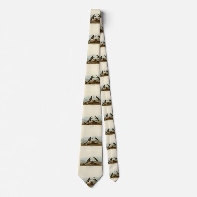 Ring Plover från Audubon's Birds of America Slips (Framsida)