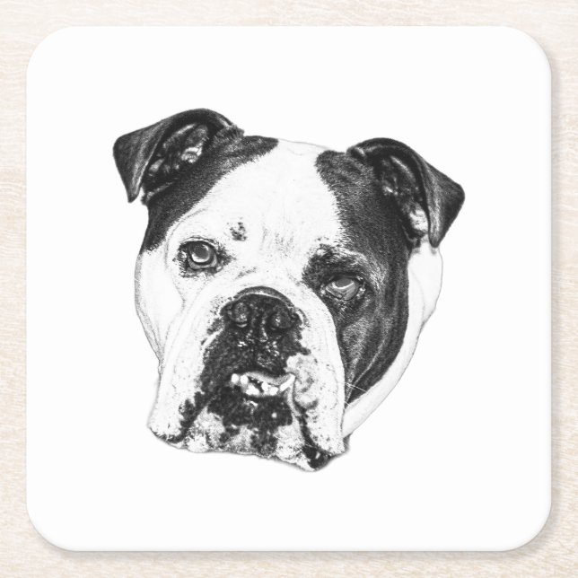 Ring-Säker Bulldog-Underlägg Underlägg Papper Kvadrat (Framsidan)