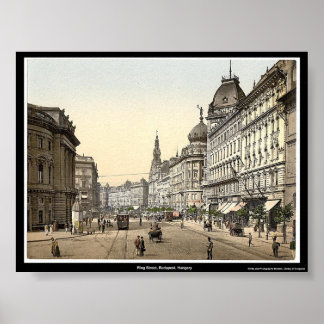 Ring Street, Budapest, Ungern Poster