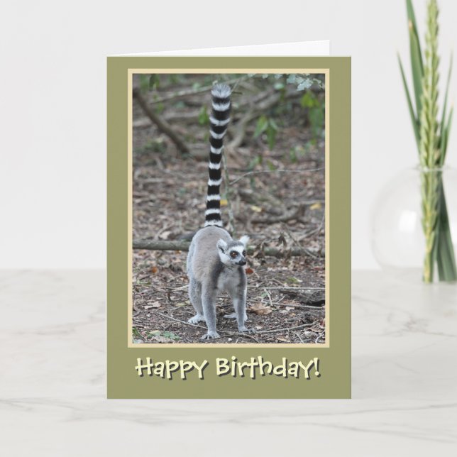 Ring-Tail Lemur Grattis på födelsedagen Kort (Framsida)