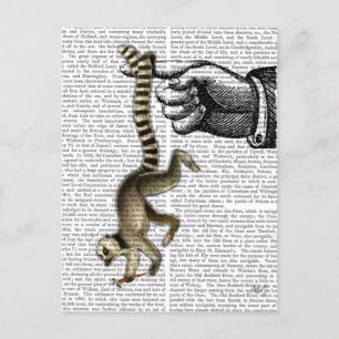 Ring Tail Lemur på Finger 2 Vykort