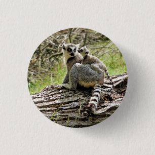 RING TAILED LEMUR KNAPP