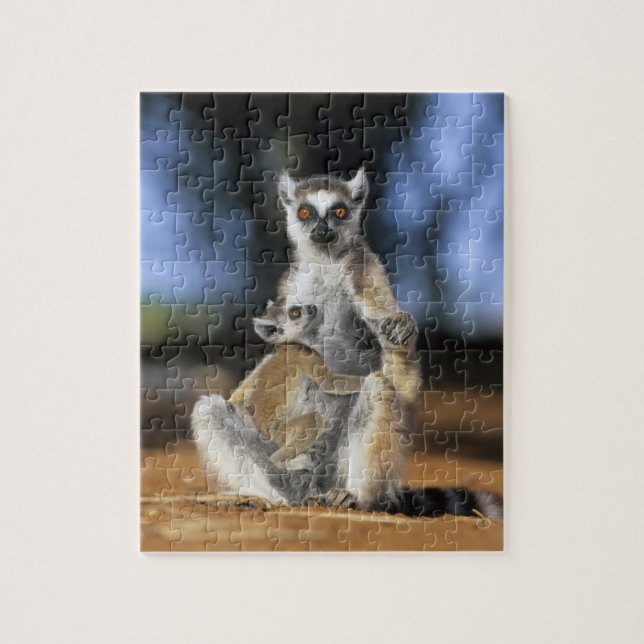 Ring-tailed Lemur, (Lemur catta), Mor och Pussel (Vertikal)