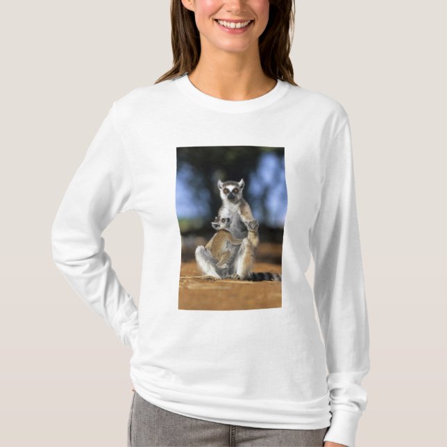 Ring-tailed Lemur, (Lemur catta), Mor och Tee (Framsida)