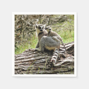 RING TAILED LEMUR PAPPERSSERVETT
