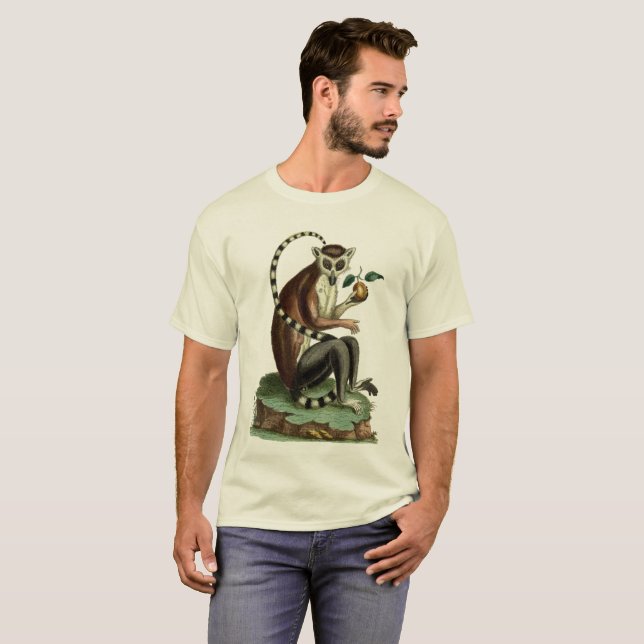 Ring-Tailed Lemur Tee: 1780 Zoology Illustration T-shirt (Hel framsida)