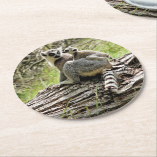RING TAILED LEMUR UNDERLÄGG PAPPER RUND