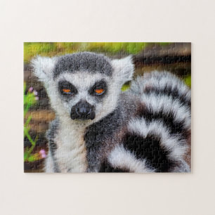 Ring Tails Lemur, Jigszons Puzzle Pussel