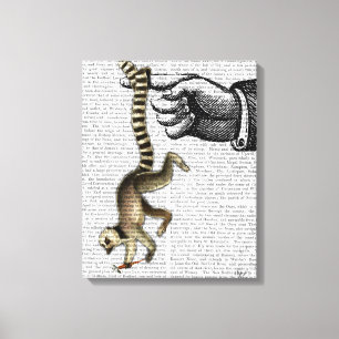 Ring Tails Lemur på Finger Canvastryck