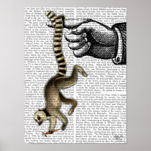 Ring Tails Lemur på Finger Poster