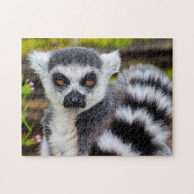 Ring Tailur Lemur, Jigszawa Puzzle Pussel (Horisontell)