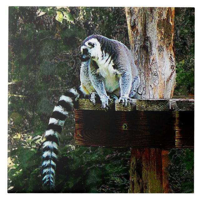 Ring-Tailur Lemur Kakelplatta (Framsidan)