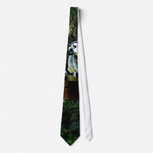 Ring-Tailur Lemur Slips