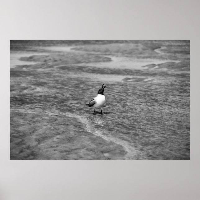 Ring upp poster (Framsidan)