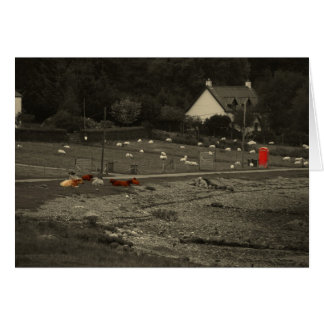 ringa boxas OBS kort