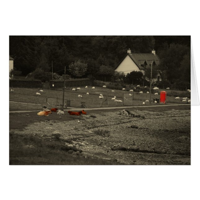 ringa boxas OBS kort (Framsidan Horizontal)