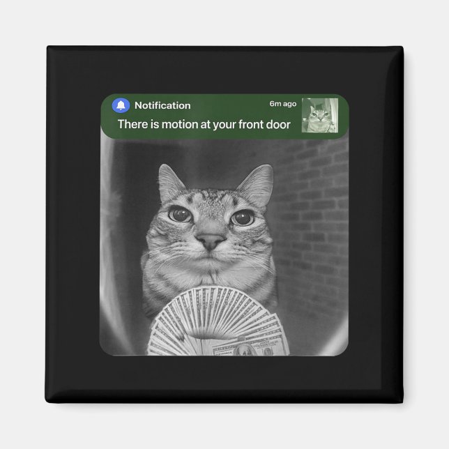 Ringa Katt Med Rörelse Meme Magnet (Framsidan)