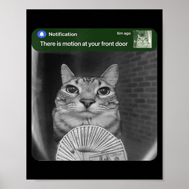 Ringa Katt Med Rörelse Meme  Poster (Framsidan)