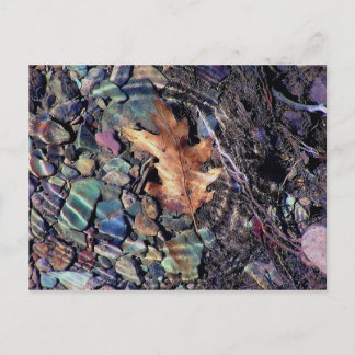 ringar i det ljusa vatten vykort