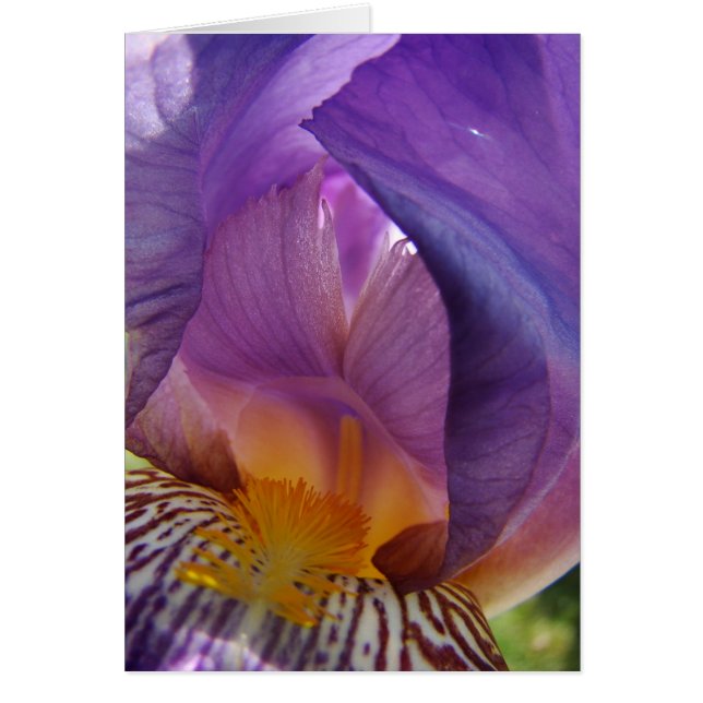 ringavvikelse hälsningskort (Framsidan)