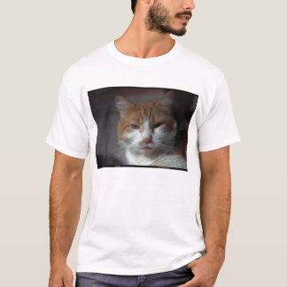 "Ringblomma" orange och vittabby katt T-shirt