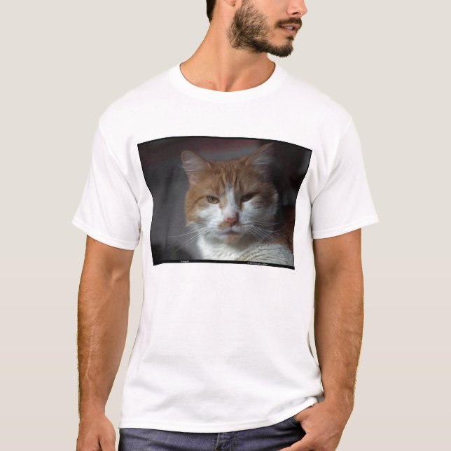 "Ringblomma" orange och vittabby katt T-shirt (Framsida)