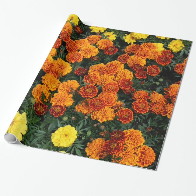 Ringblomma Presentpapper (Utrullad)