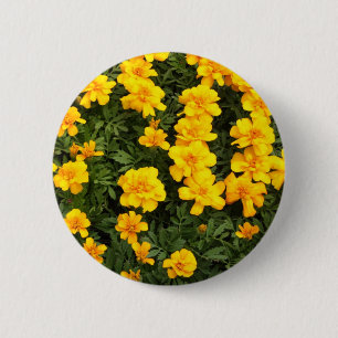 Ringblommablomman knäppas emblem knapp