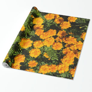 Ringblommablommar Presentpapper