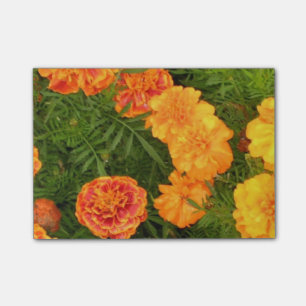 Ringblommablommor Post-it Block