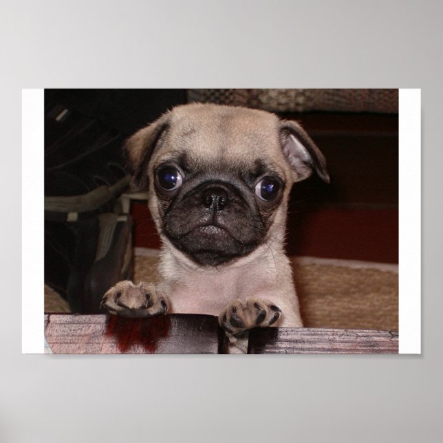 Ringde du? poster (Framsidan)