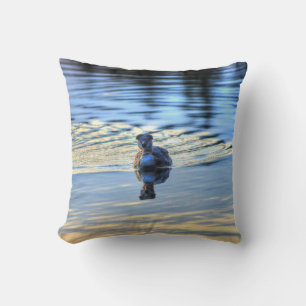 Ringer rödögd Grebe Waterfowl Wildlife Photo Kudde