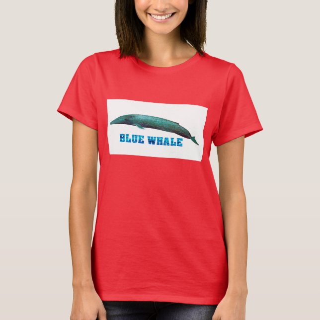 Ringer-T-Shirt Tröja (Framsida)