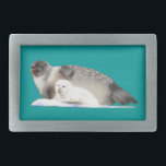 Ringförsegling<br><div class="desc">En mor-ringad försegling och valp på en isflod. Precis som med de Polar björnar som ber på dem hotas havsdäggdjur som Ringesalen av de förändringar som klimatförändringen orsakar i det arktiska ispaketet. Den ringade sigillen (Phoca hispida) är den mest omfattande och omfattande issälen på deras jackar på norra halvklotet, som...</div>