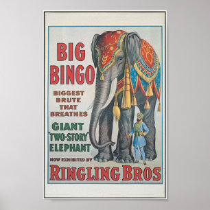 Ringing Bros Big Bingo från elefant Circus Poster