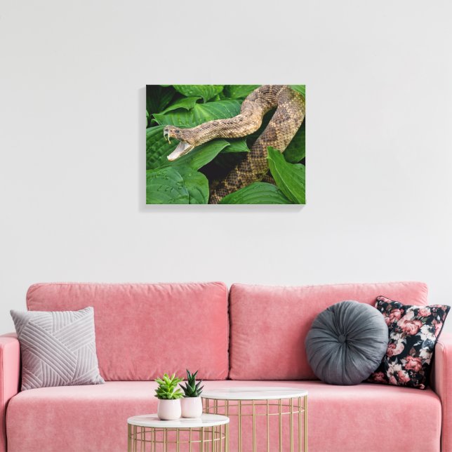 Ringlad skallerorm i Hosta-växt Canvastryck (Insitu (Vardagsrum))