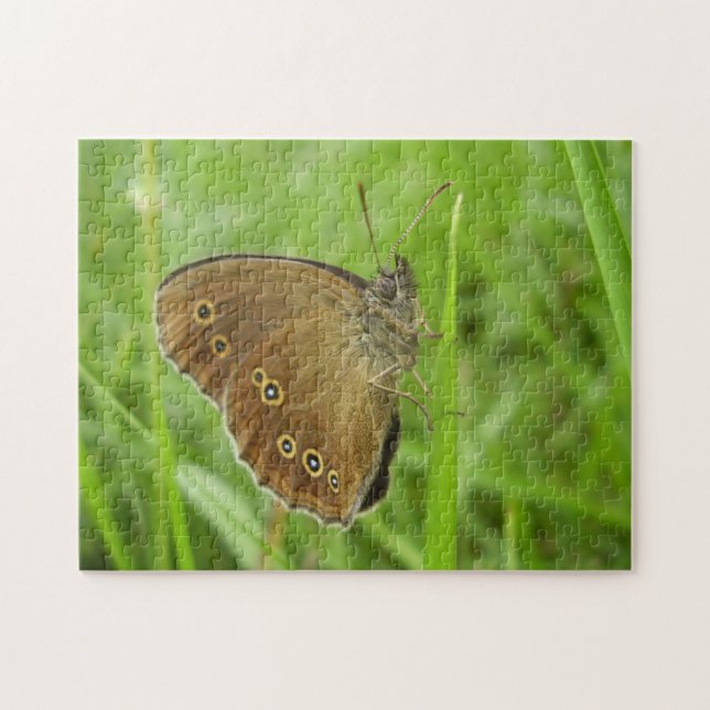 Ringlet Butterfly Photo Puzzle med Gift Box Pussel (Horisontell)