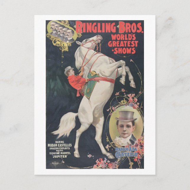 Ringling Bros. / Ada Castello Vykort (Framsida)
