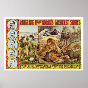 Ringling Bros. Djur annonsering 1900's för vild Poster