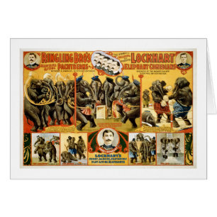 Ringling Bros Pachyderms1899 Hälsningskort
