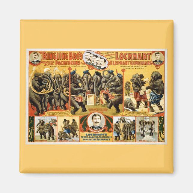 Ringling Bros Pachyderms1899 Magnet (Framsidan)