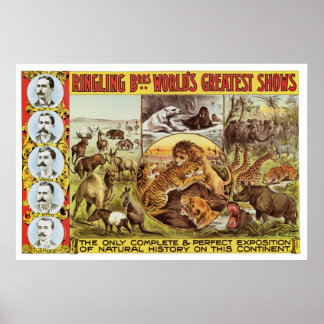 Ringling Bros. Vild Animal Advertisement 1900 s Poster
