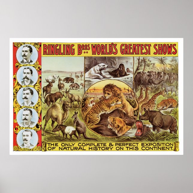 Ringling Bros. Vild Animal Advertisement 1900 s Poster (Framsidan)