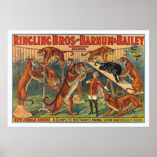 Ringling Brothers Barnum och Bailey Tigers Poster