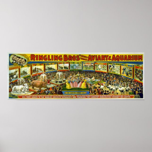 Ringlingbros/Aviary & Aquarium Poster (Framsidan)