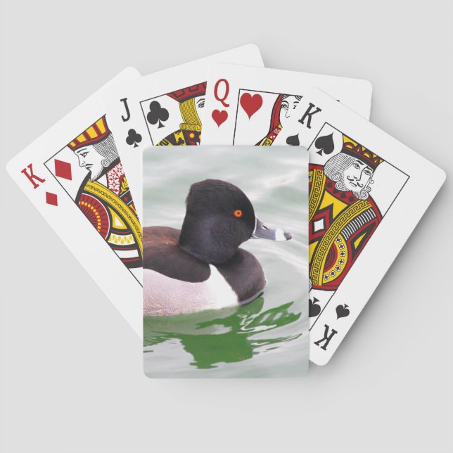 Ringnäbbad dopping casinokort (Baksidan)