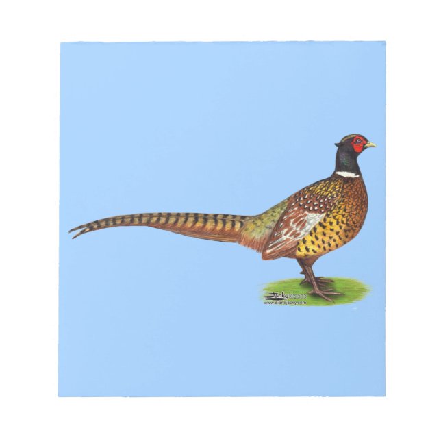 Ringnacken Pheasant Tupp Anteckningsblock (Framsida)
